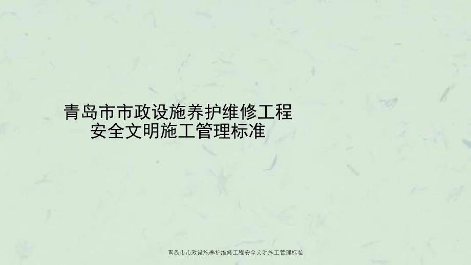 青岛市市政设施养护维修工程安全文明施工管理标准_第1页