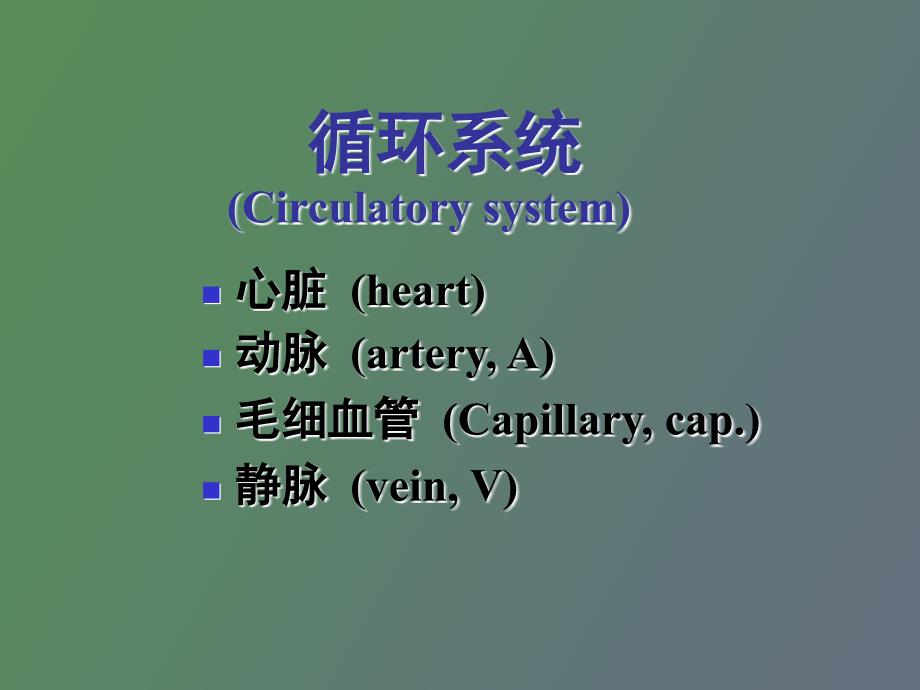 组织胚胎学教案_第4页