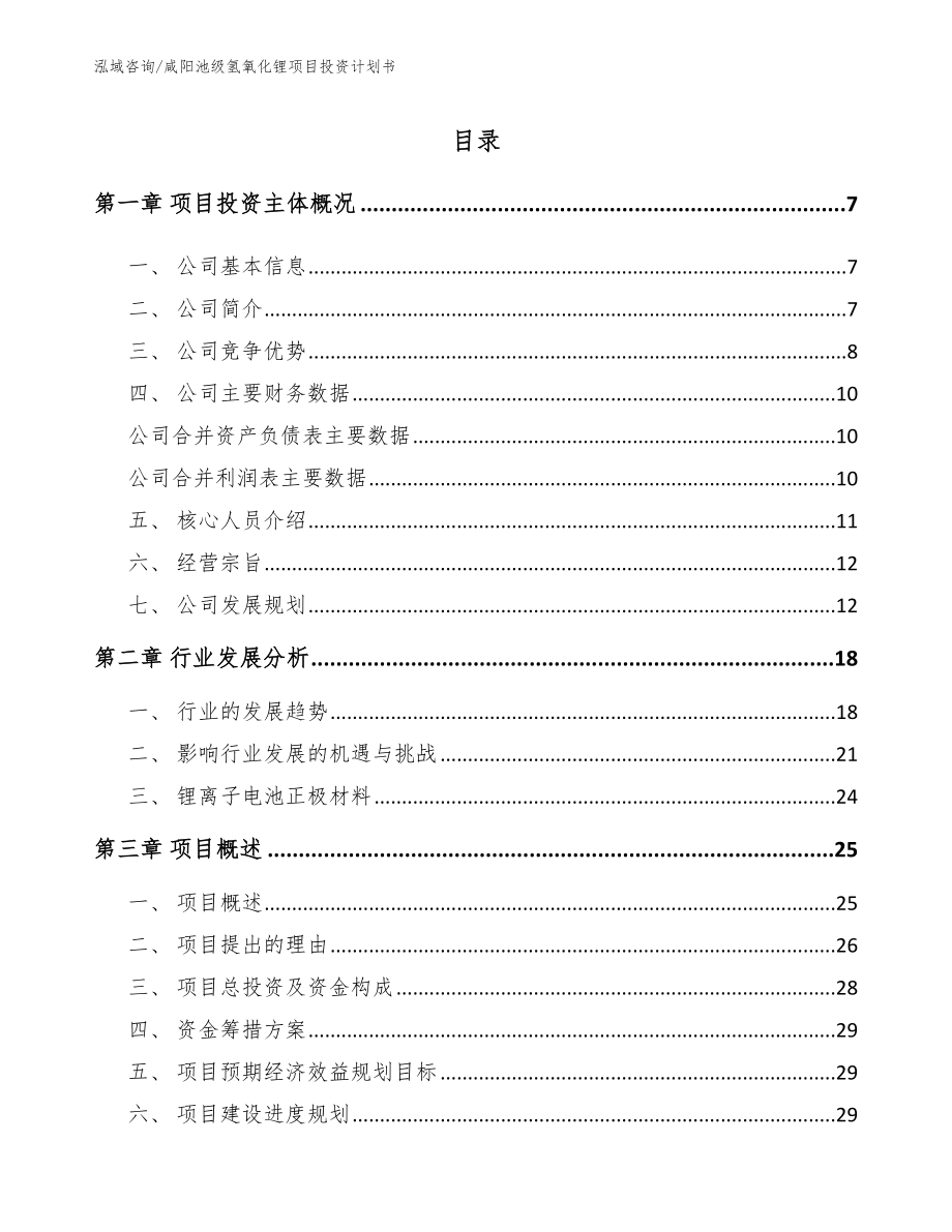 咸阳池级氢氧化锂项目投资计划书_模板_第1页