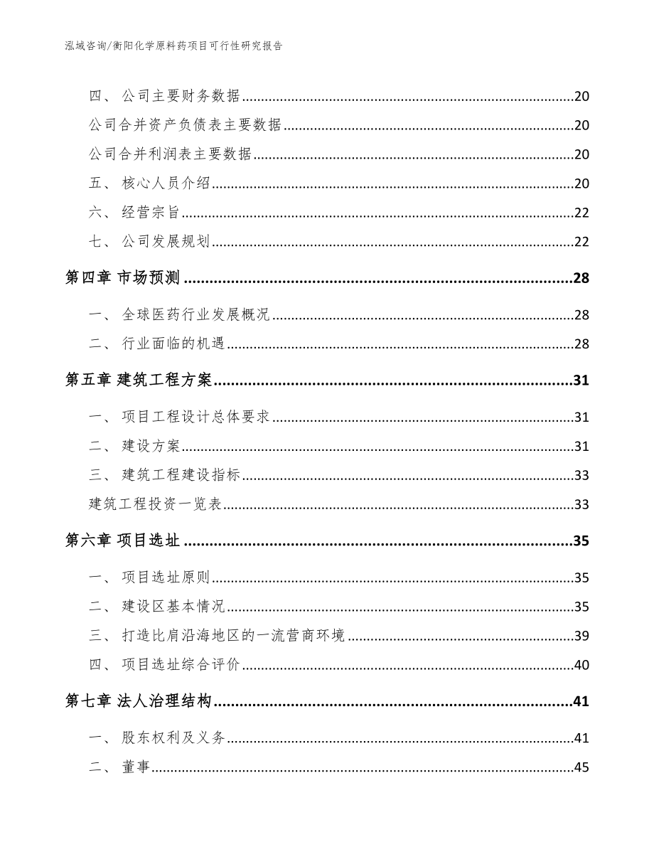 衡阳化学原料药项目可行性研究报告【范文】_第2页