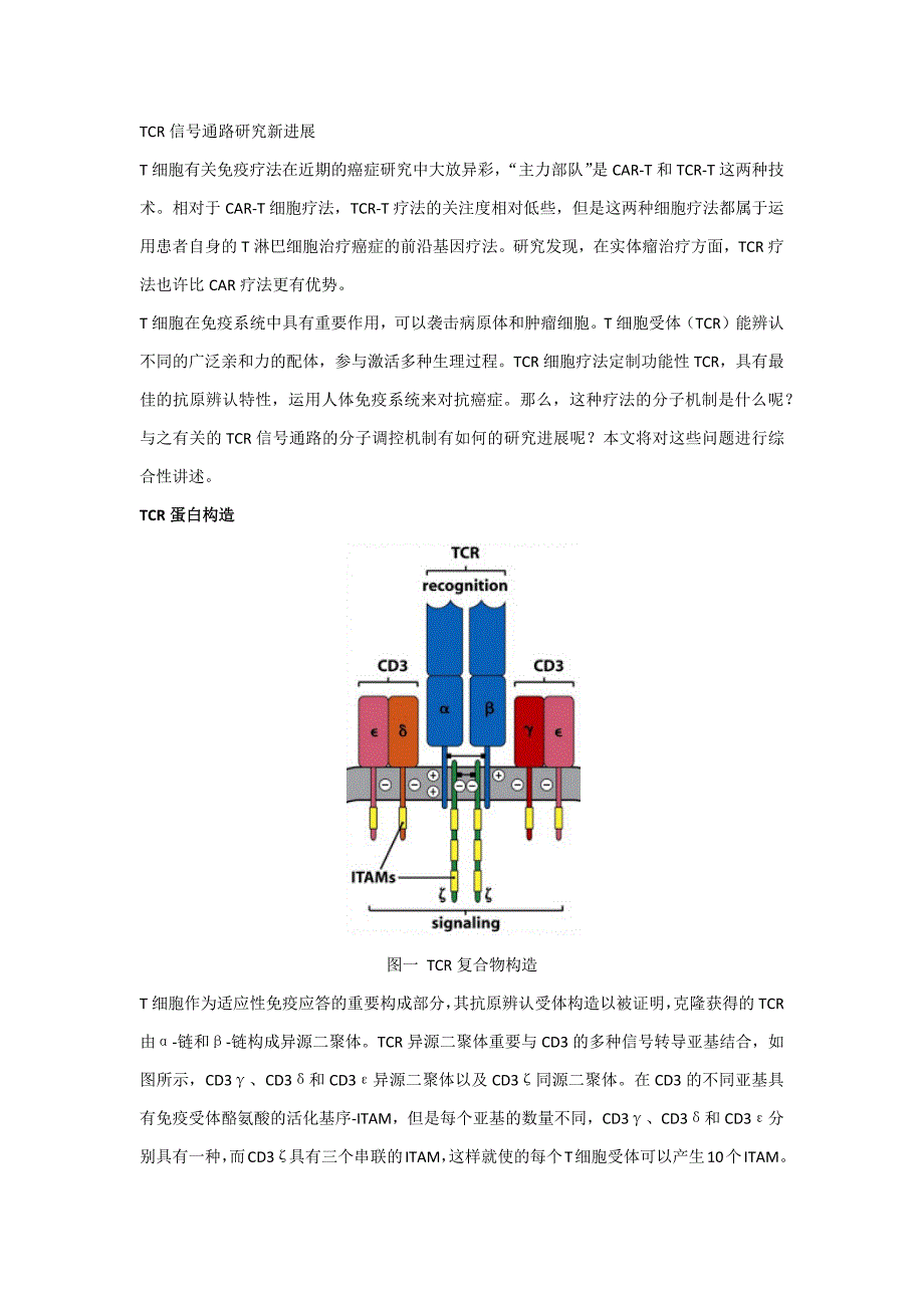TCR细胞通路研究进展_第1页