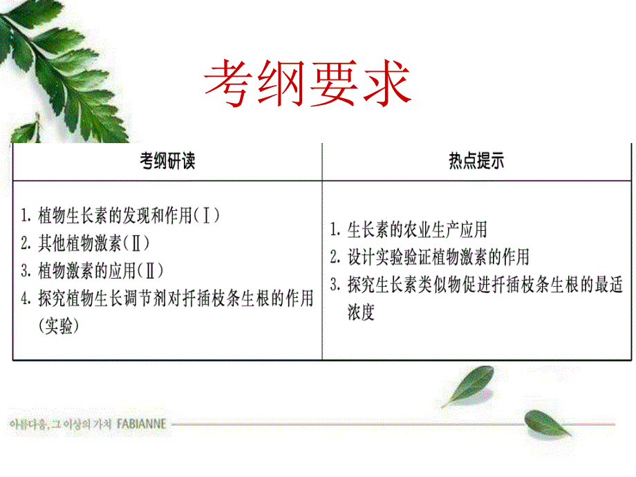 高中生物植物生命活动的调节精品课件_第4页