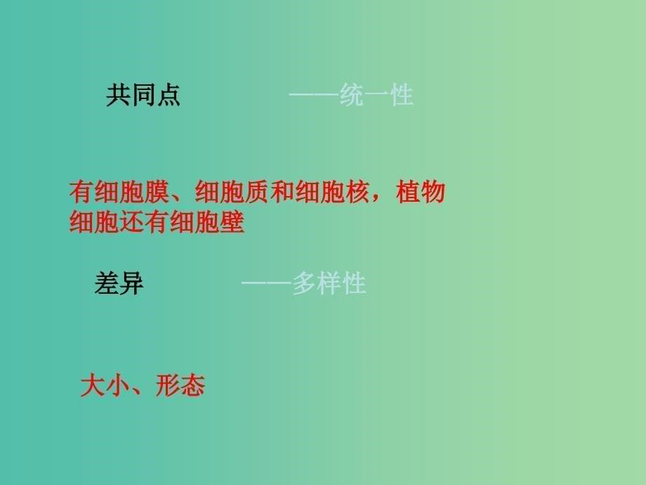 云南省峨山彝族自治县高中生物 第一章 走近细胞 1.2 细胞的多样性和统一性课件3 新人教版必修1.ppt_第5页