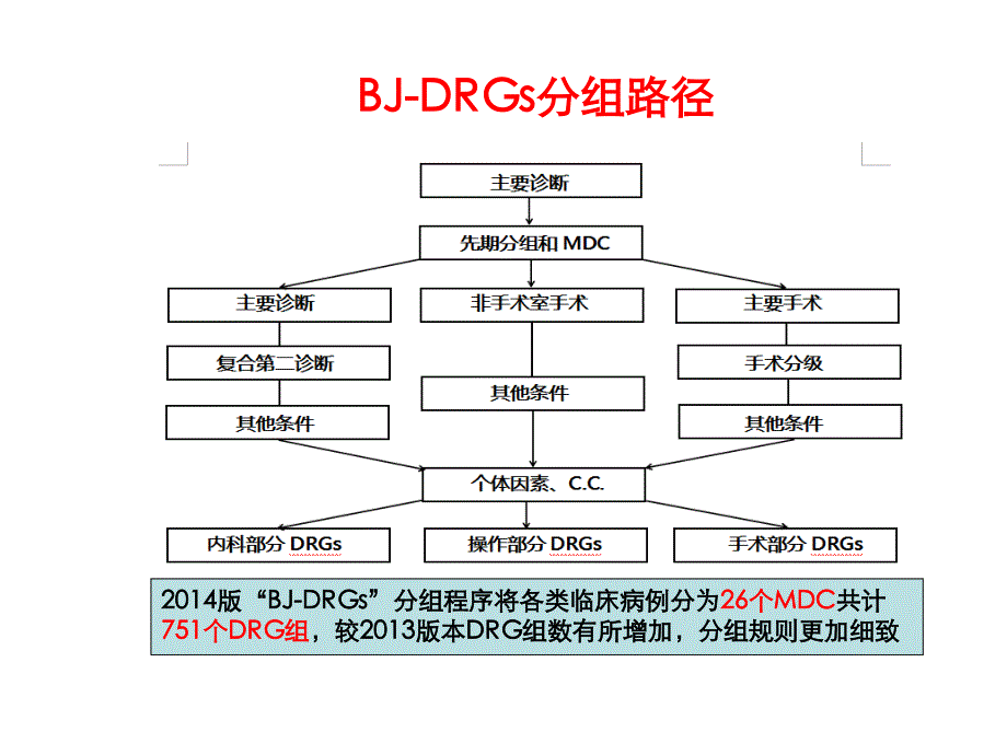 国际疾病分类与应用_第4页