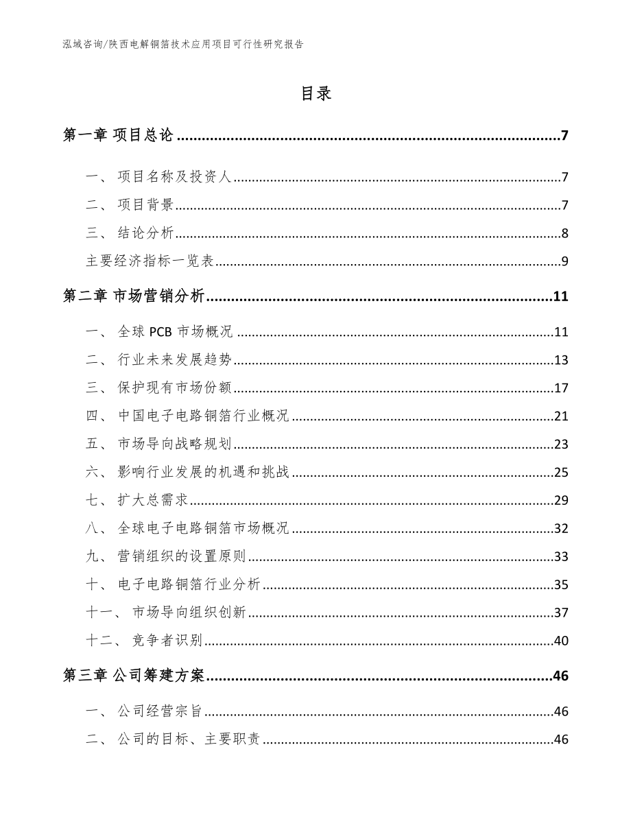 陕西电解铜箔技术应用项目可行性研究报告_第1页