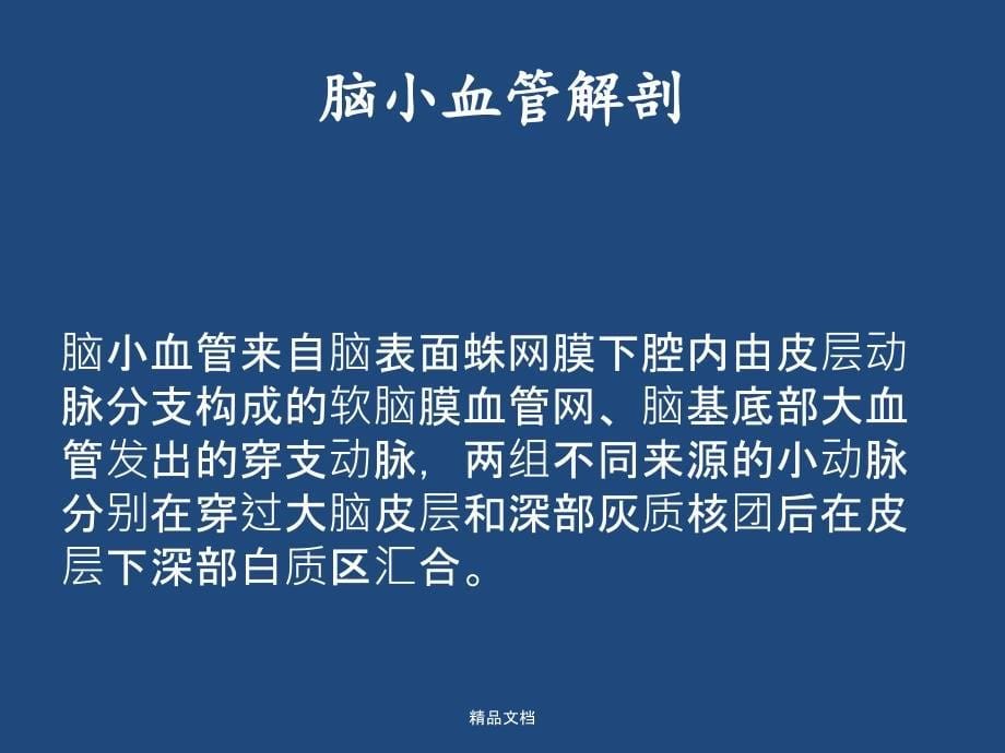 脑小血管病影像与临床七大要点课件_第5页