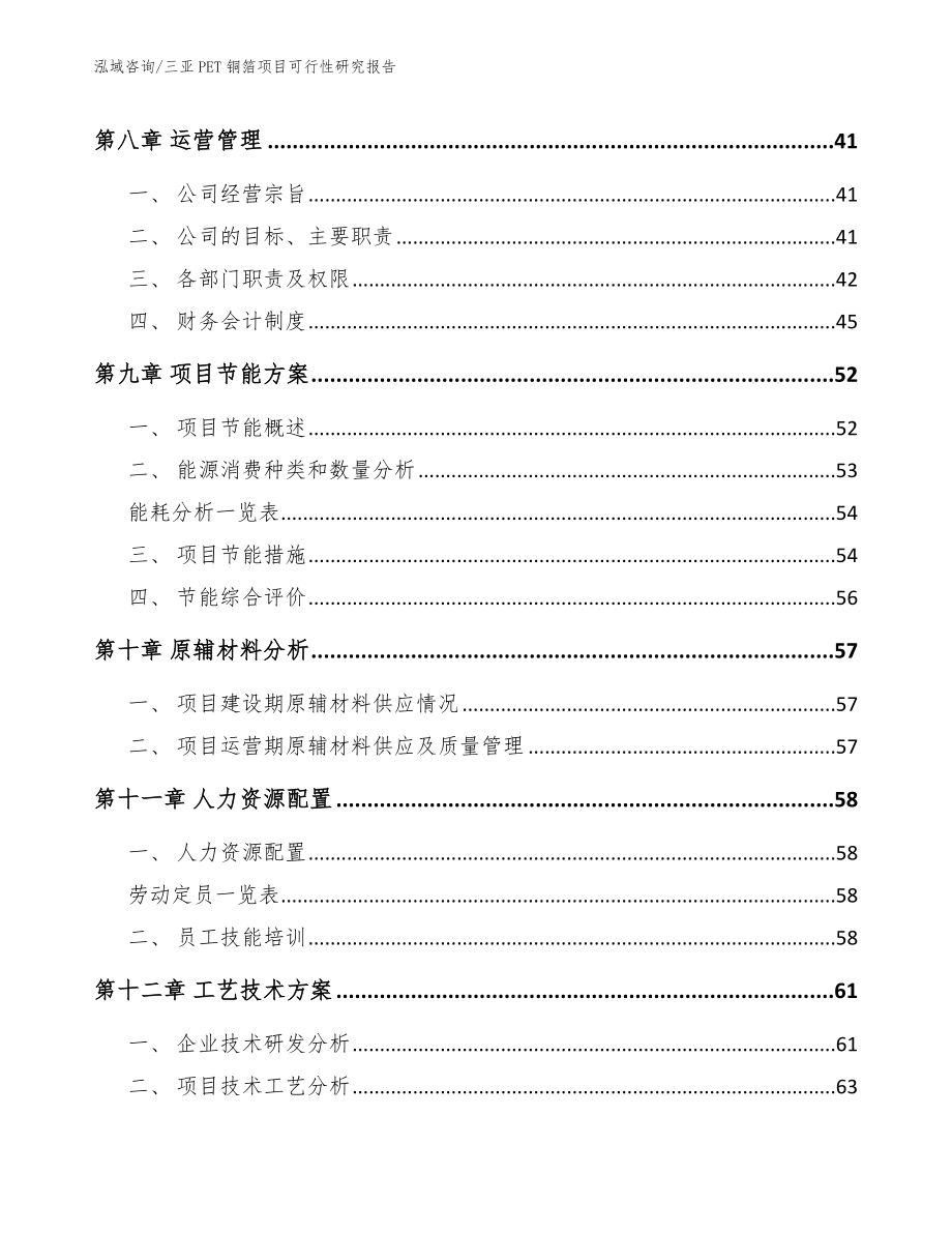 三亚PET铜箔项目可行性研究报告【参考模板】_第3页