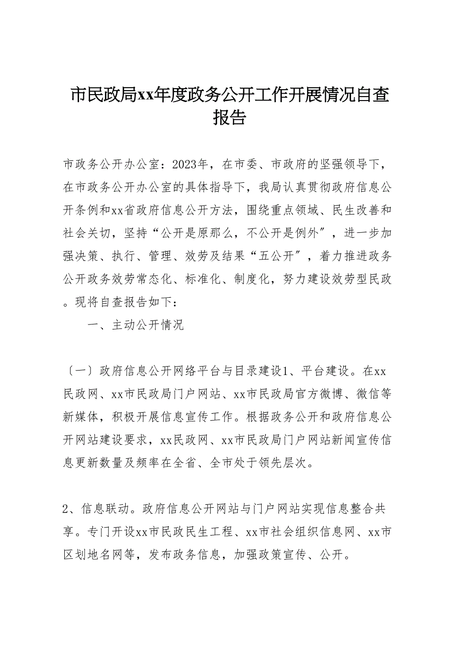 2023年市民政局度政务公开工作开展情况自查报告 .doc_第1页