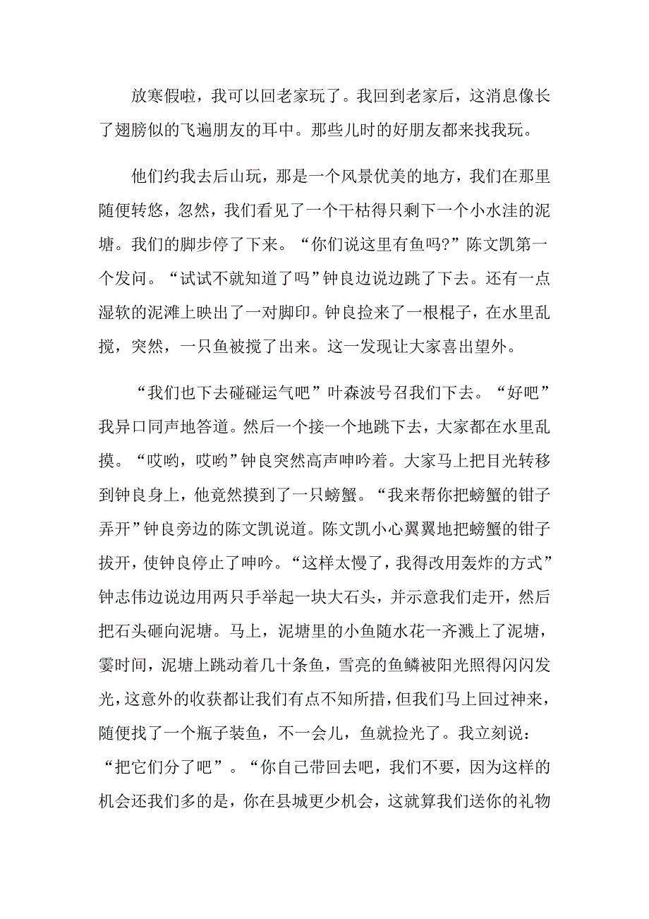 寒假作文精选快乐的寒假生活小学生作文5篇_第4页