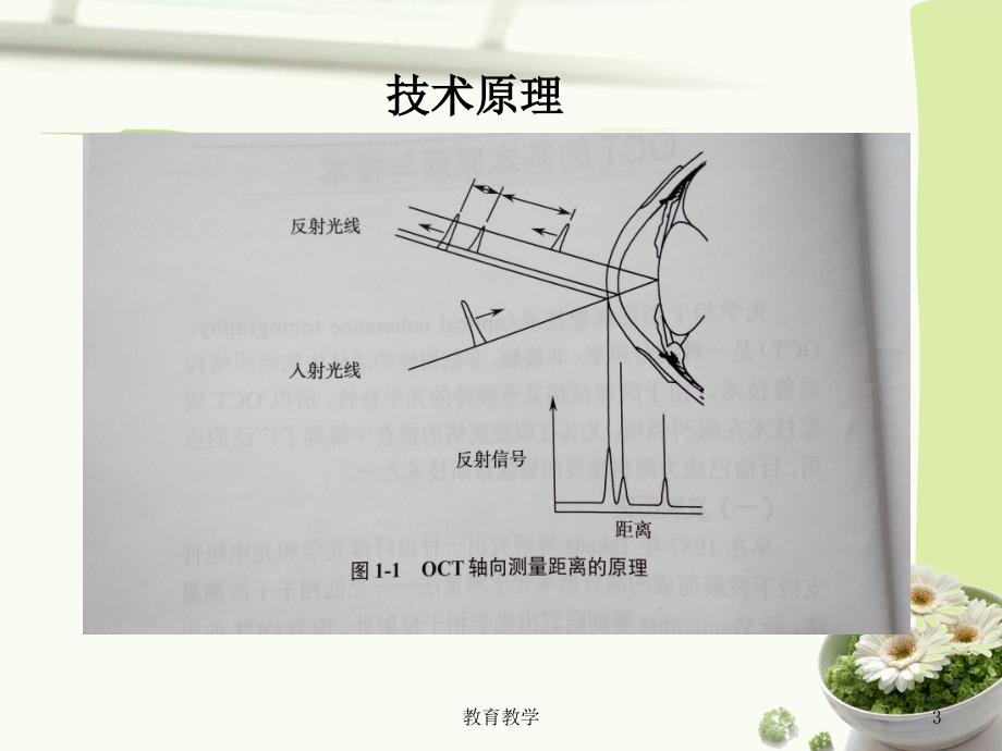 OCT基础知识高教课堂_第3页