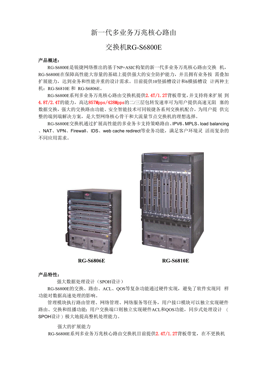 多业务万兆路由交换机RG_第1页