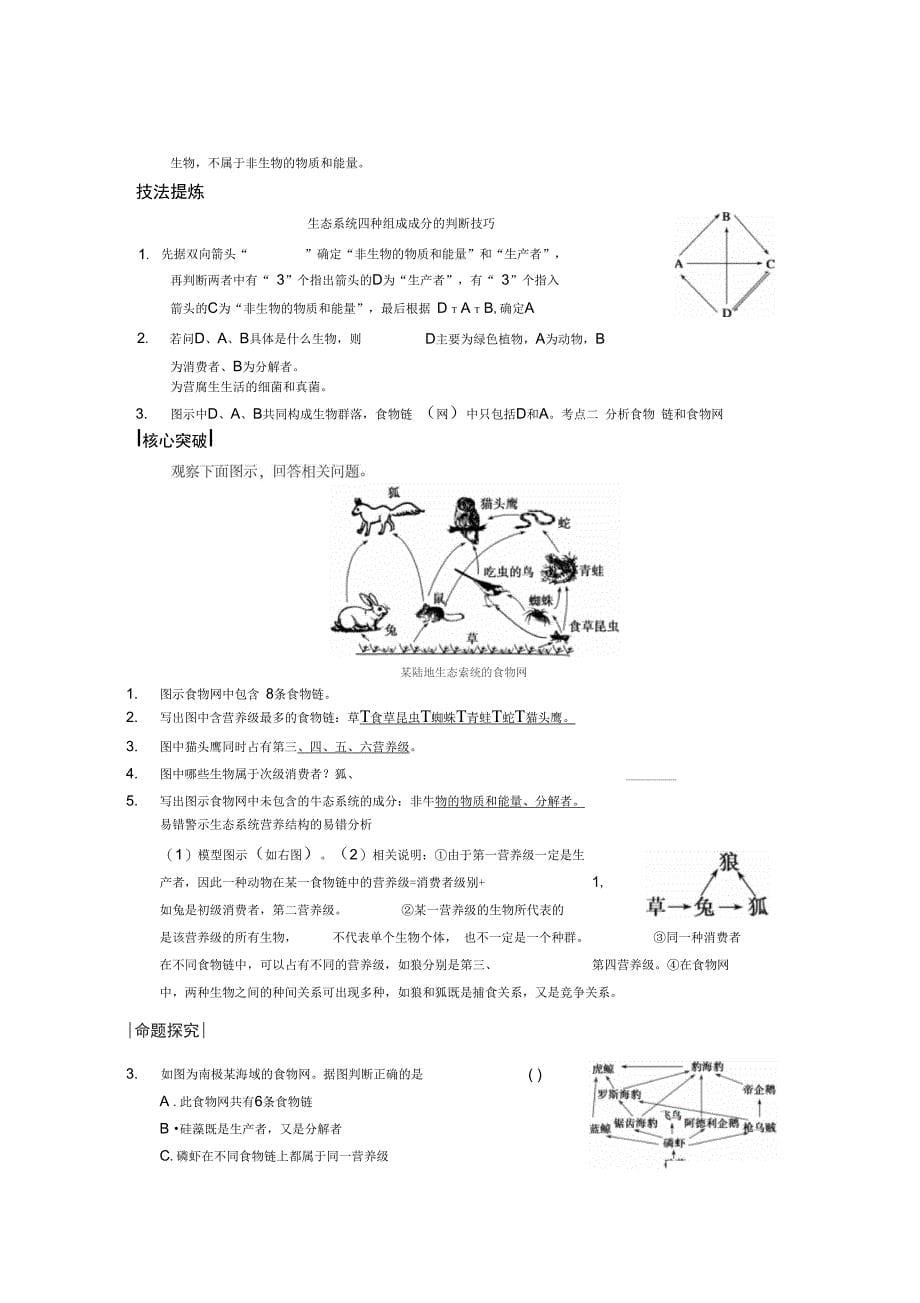 大一轮复习讲义生态系统的结构_第5页