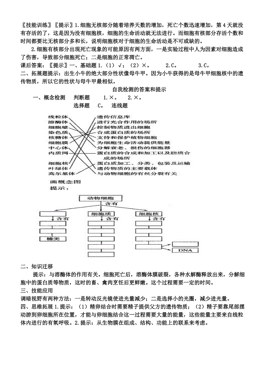 细胞核的结构和功能学案_第4页