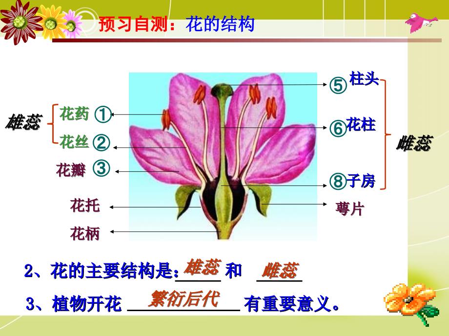 植物的开花与结果周瑜2 (2)_第4页