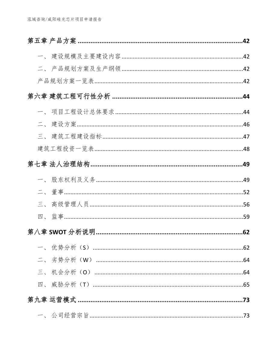 咸阳硅光芯片项目申请报告_第5页