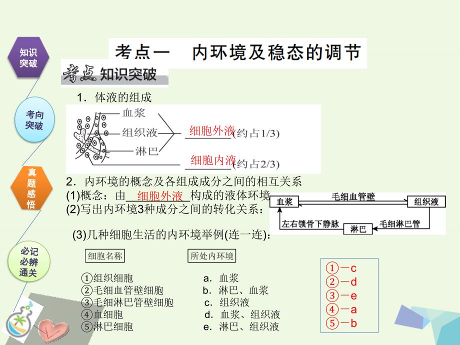 全国卷地区专用高考生物总复习第八单元动物和人体生命活动的调节第1讲人体的内环境和稳态课件0731365_第2页