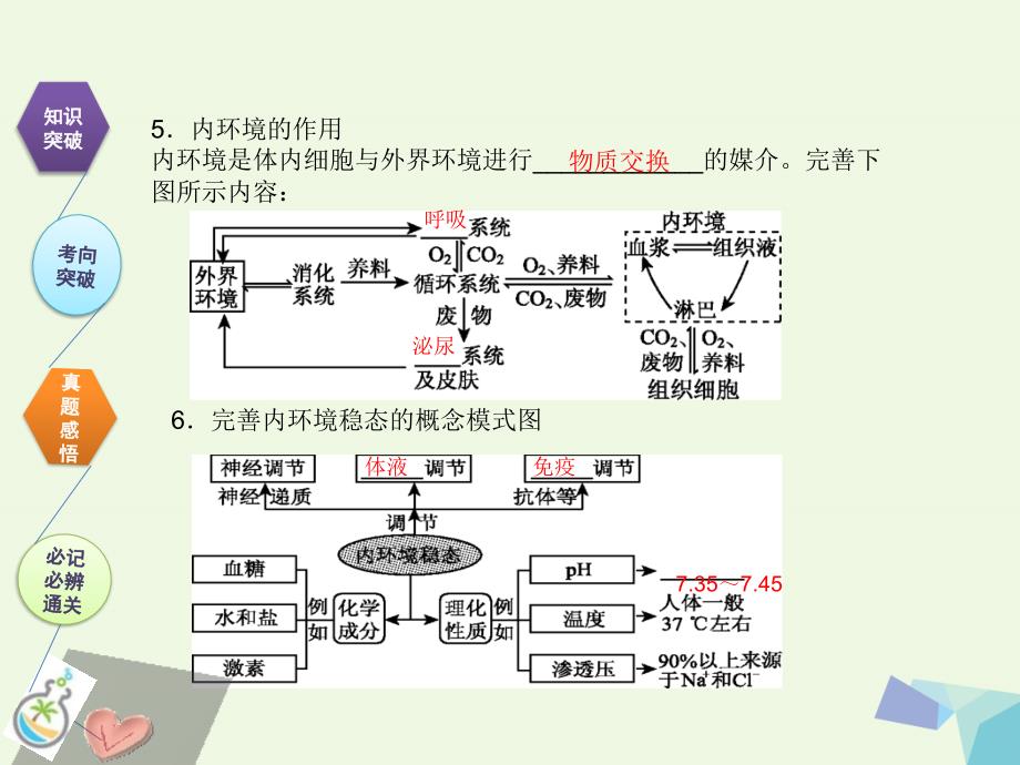 全国卷地区专用高考生物总复习第八单元动物和人体生命活动的调节第1讲人体的内环境和稳态课件0731365_第4页