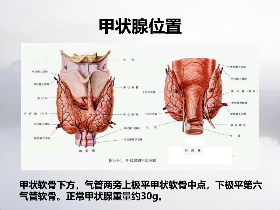 甲状腺术后护理查房_第4页