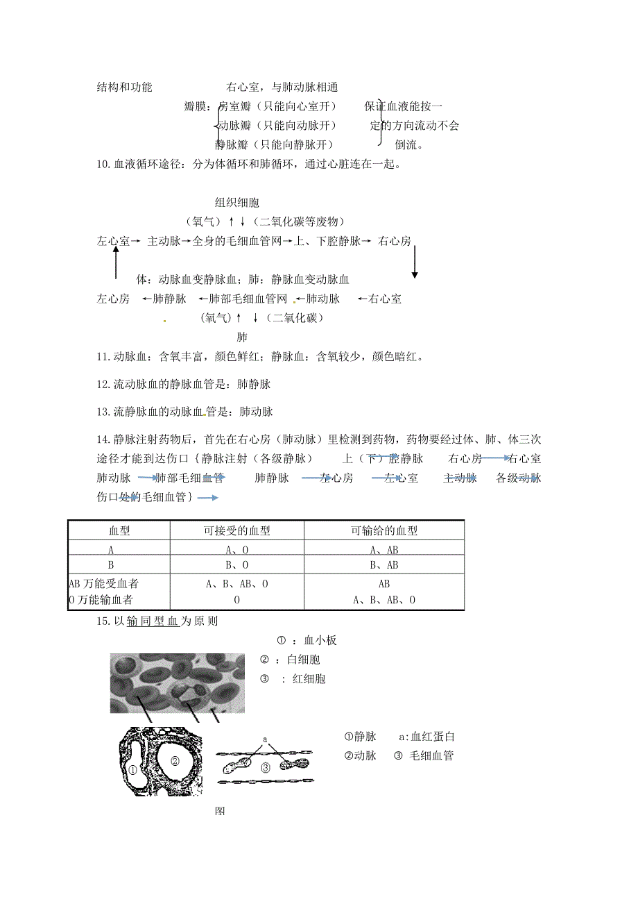 精选类内蒙古鄂尔多斯东胜区正东中学七年级生物下册第四章人体内物质的运输复习学案无答案新人教版_第2页