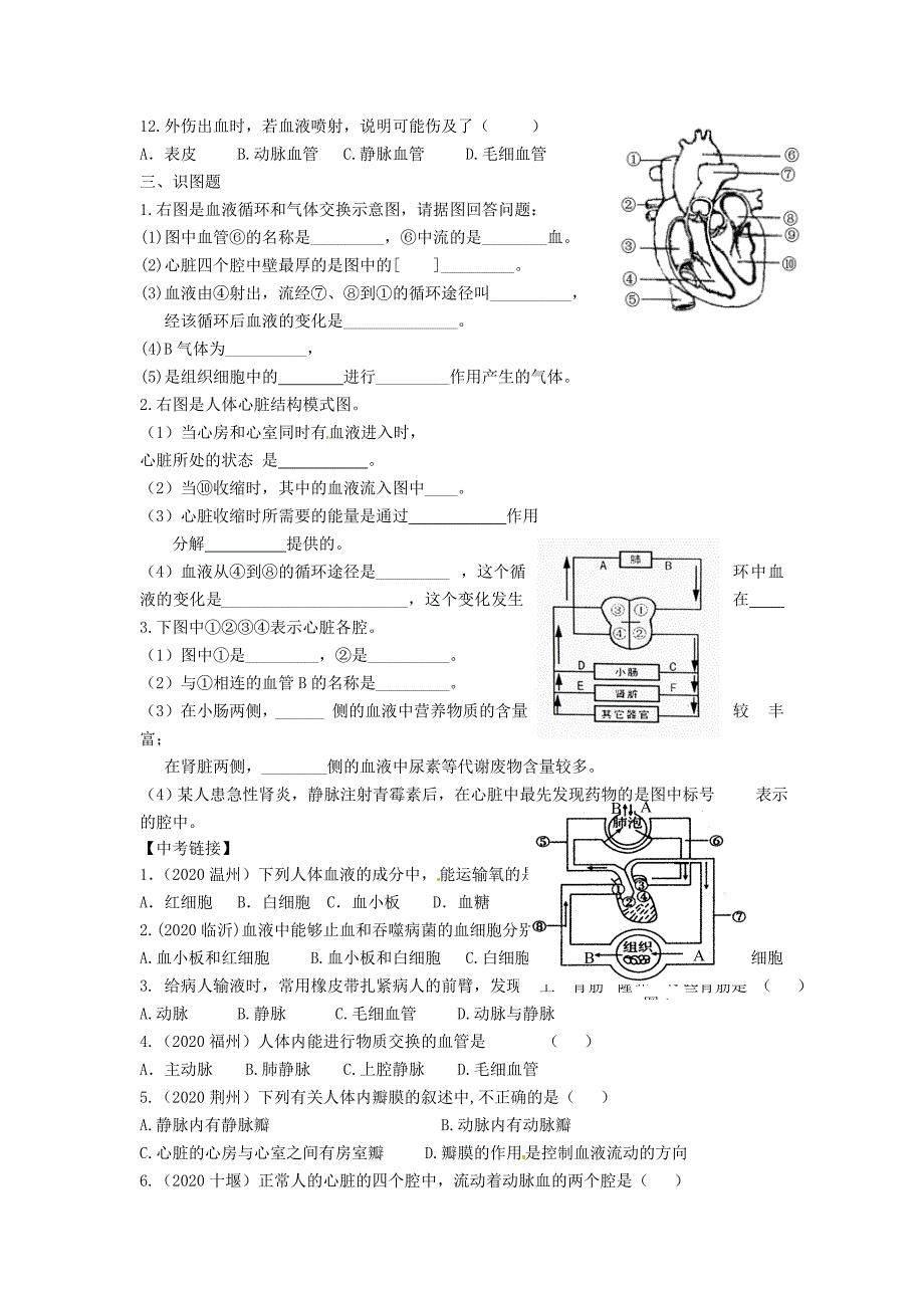 精选类内蒙古鄂尔多斯东胜区正东中学七年级生物下册第四章人体内物质的运输复习学案无答案新人教版_第4页