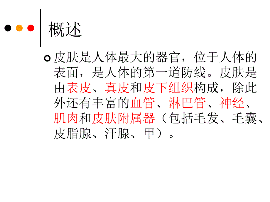 第二章皮肤的解剖和组织结构_第2页