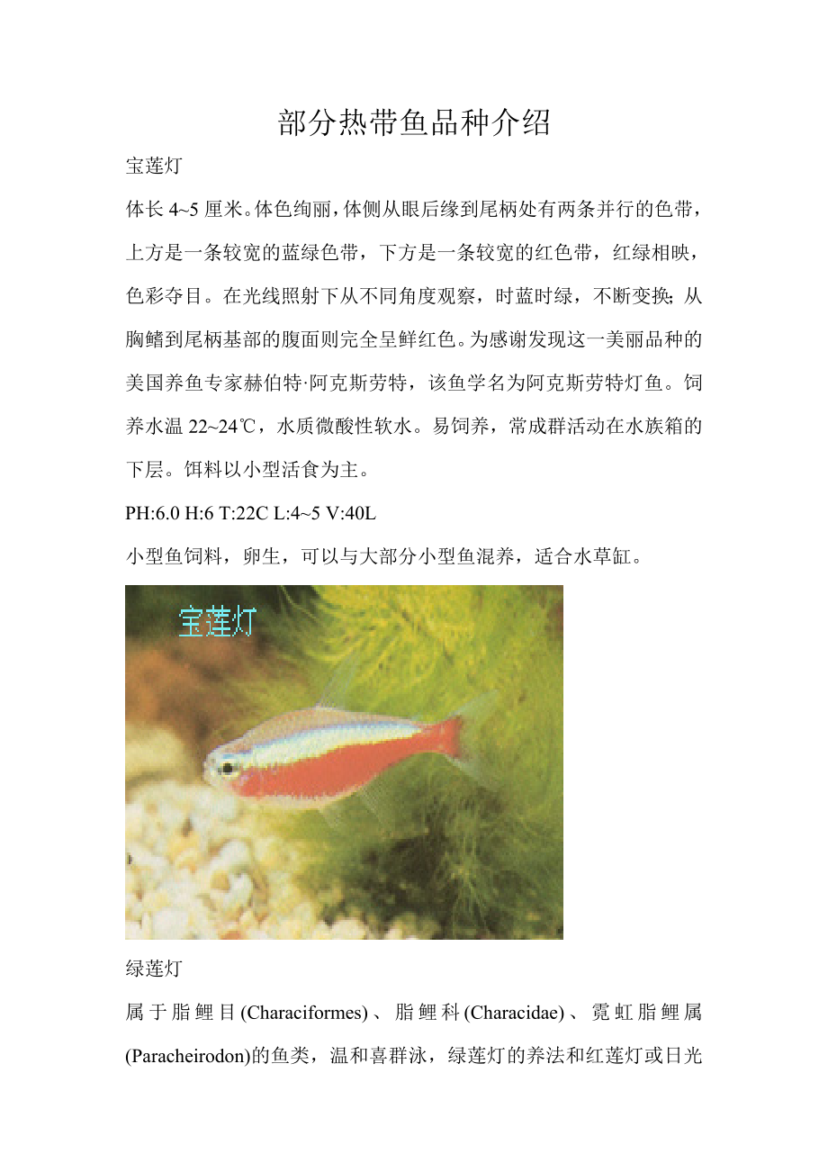 常见热带鱼品种介绍_第1页