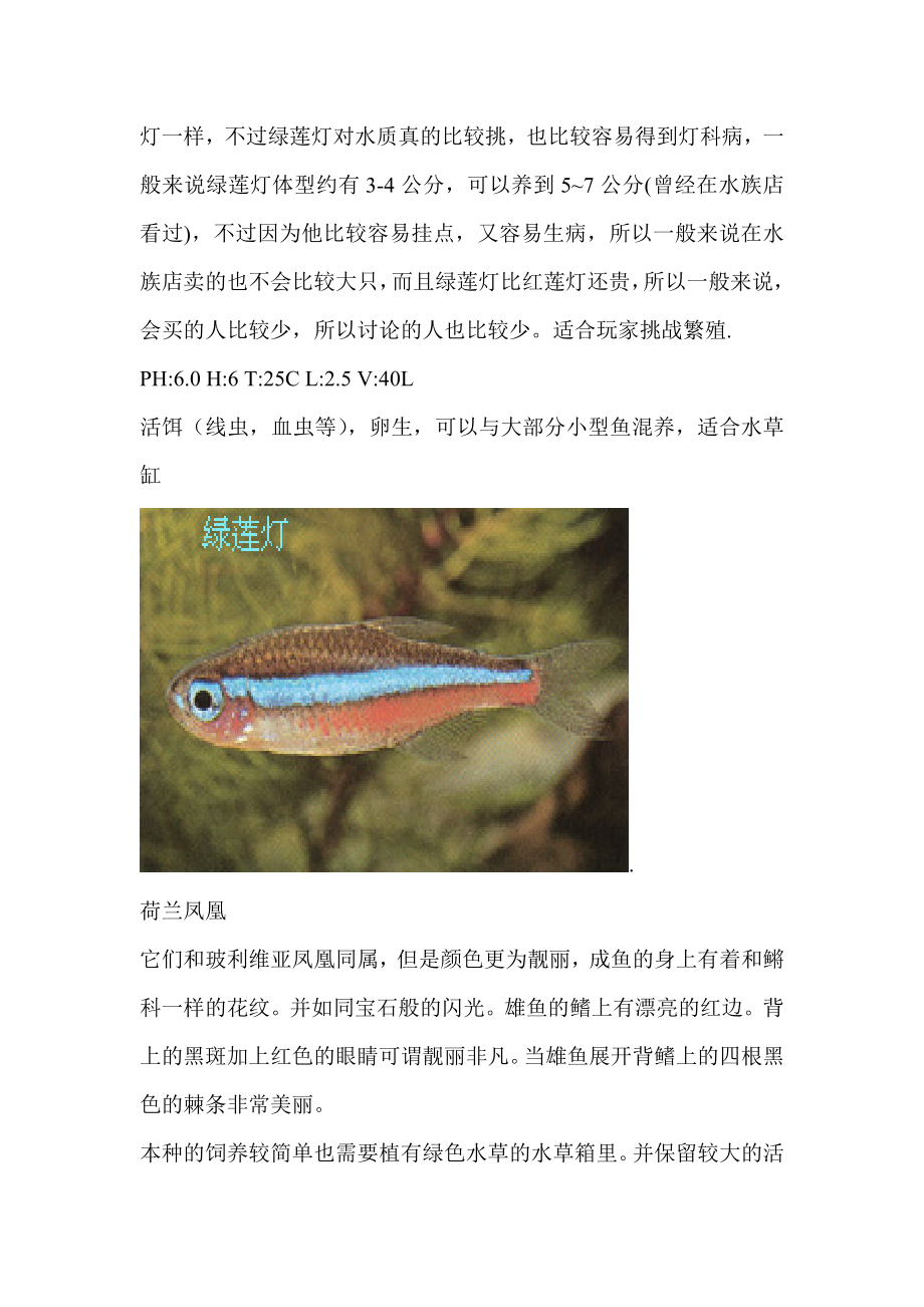 常见热带鱼品种介绍_第2页
