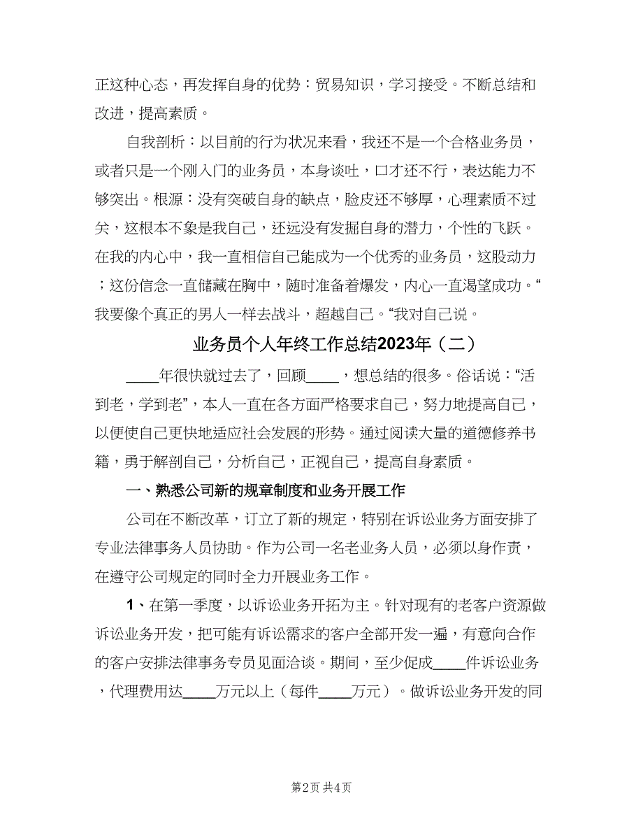 业务员个人年终工作总结2023年（二篇）_第2页