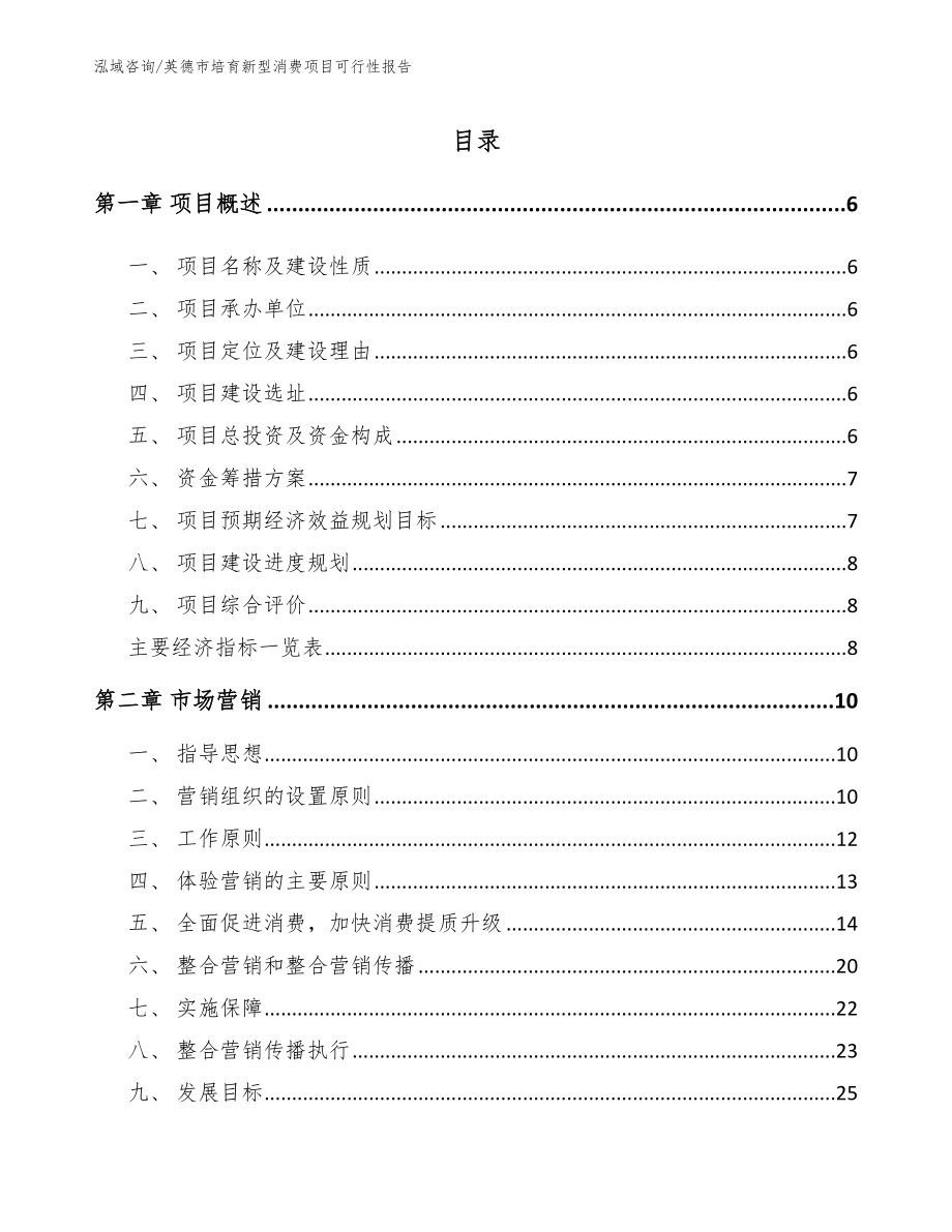 英德市培育新型消费项目可行性报告【参考模板】_第1页