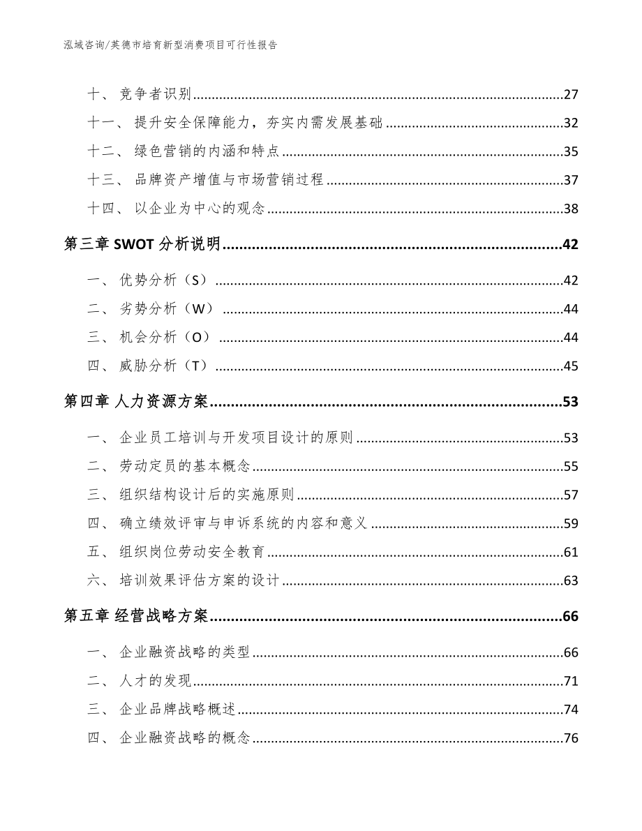 英德市培育新型消费项目可行性报告【参考模板】_第2页