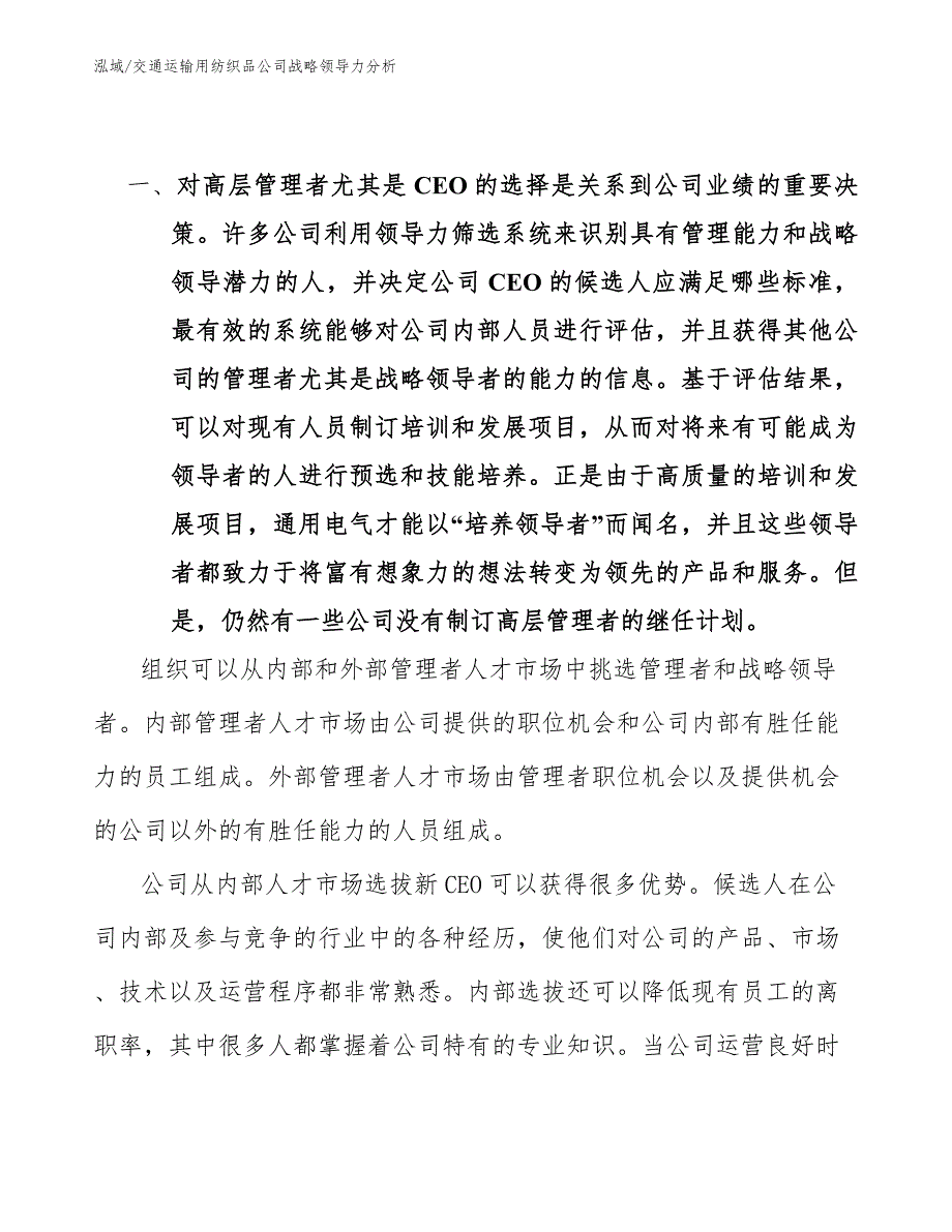 交通运输用纺织品公司战略领导力分析【范文】_第4页