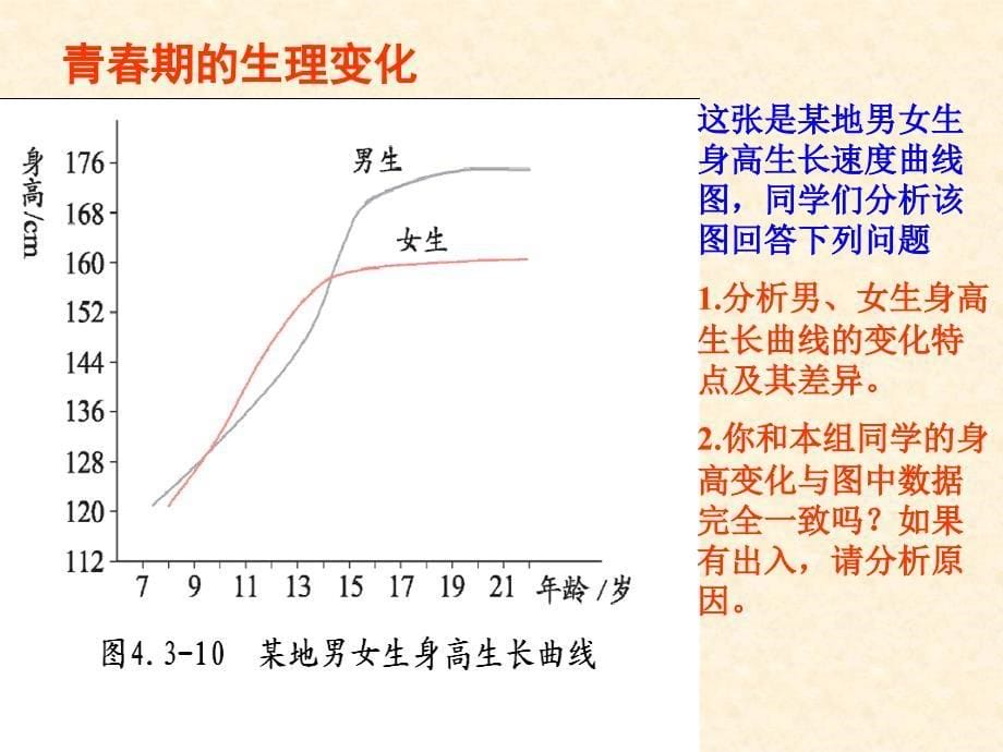 CT-实习片PPT演示课件_第5页