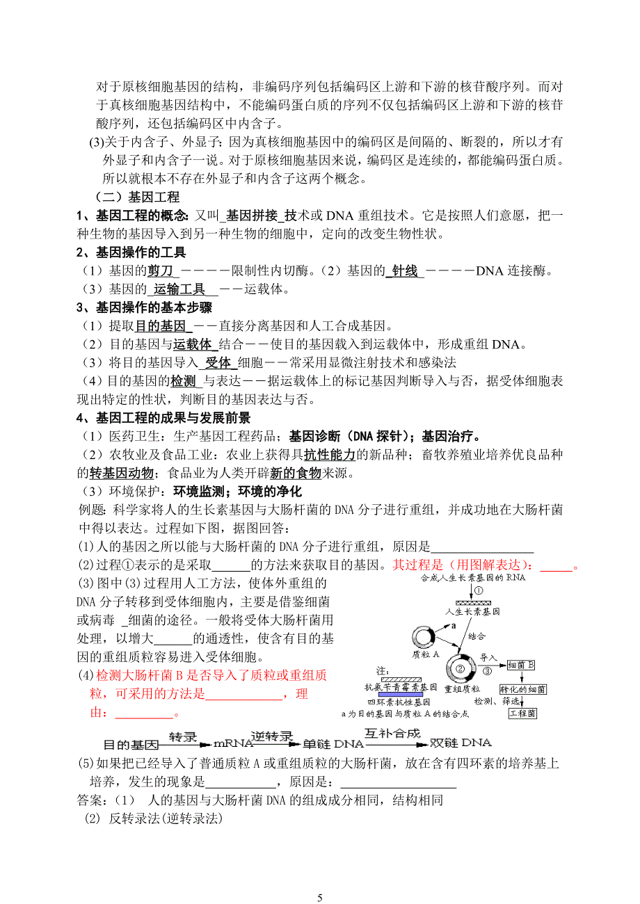 基因与基因工程.doc_第4页