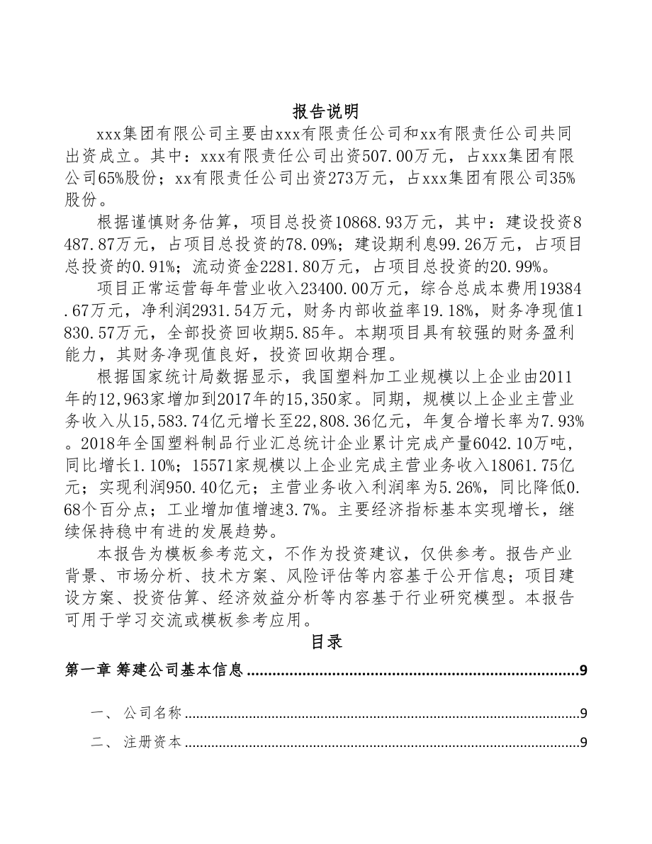 漳州关于成立PP片材公司可行性研究报告(DOC 81页)_第2页