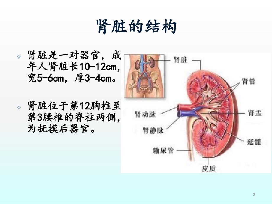 肾内科护理常规ppt课件_第3页