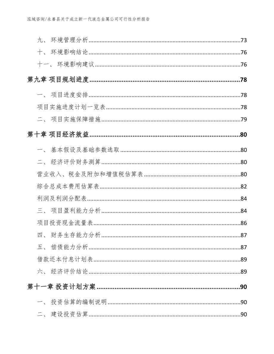 永善县关于成立新一代液态金属公司可行性分析报告【参考模板】_第5页