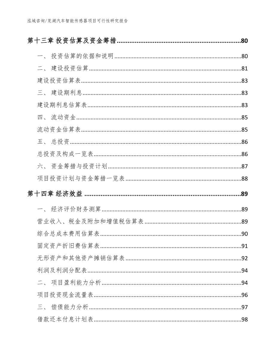 芜湖汽车智能传感器项目可行性研究报告（模板范文）_第5页