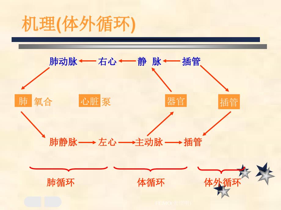 ECMO张绍明经典实用_第4页