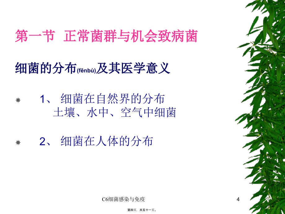 C6细菌感染与免疫课件_第4页