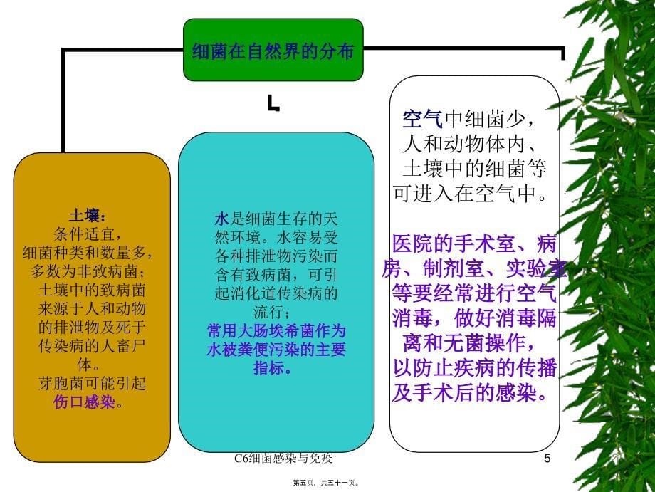 C6细菌感染与免疫课件_第5页