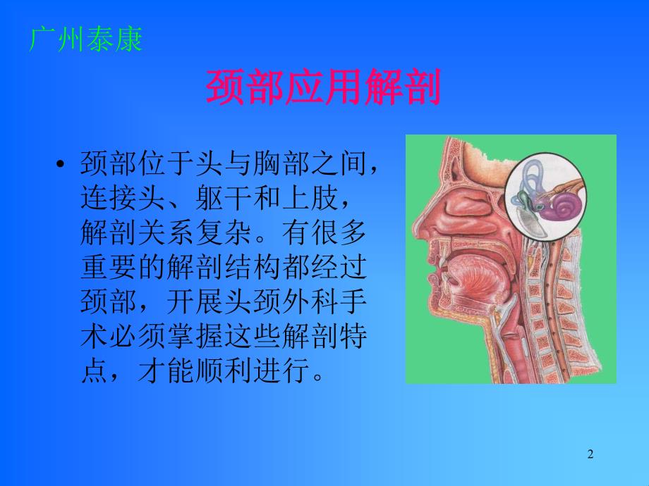 颈部解剖 - 广药附一院耳鼻咽喉-头颈外科教学网_第2页