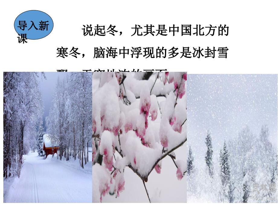 2018年秋人教版七年级上册语文课件：2济南的冬天(共28张PPT)_第2页