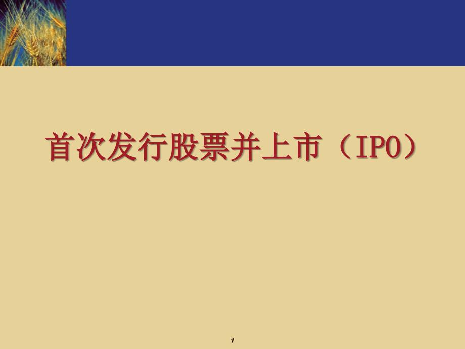 首次发行股票并上市(IPO)_第1页