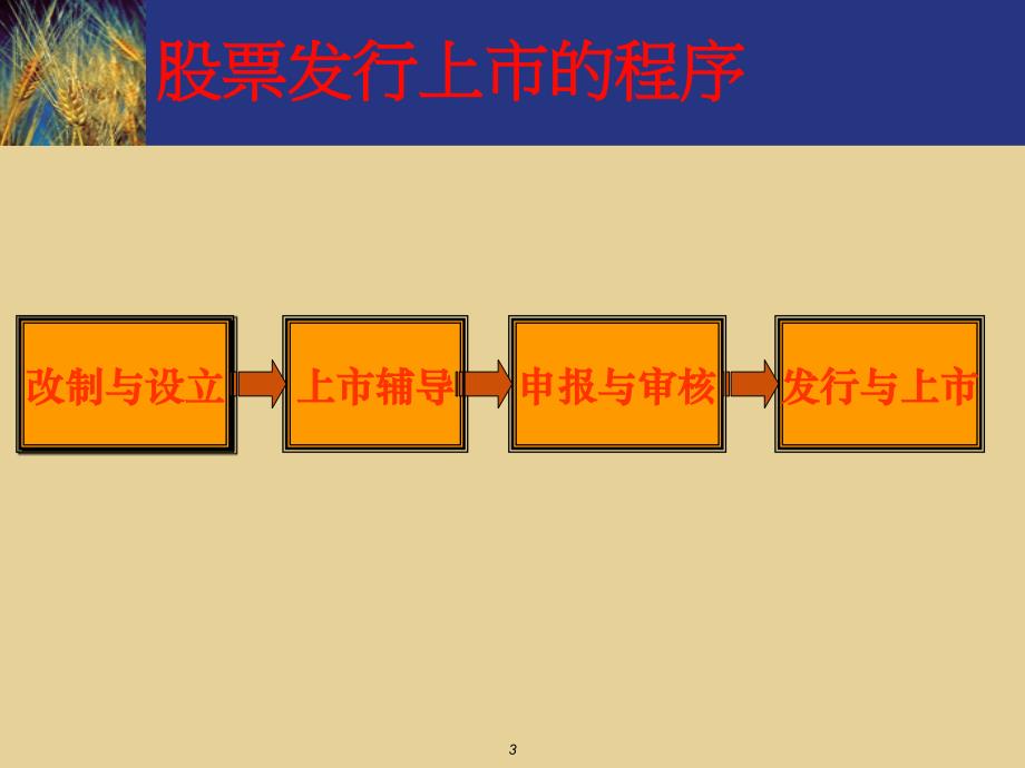 首次发行股票并上市(IPO)_第3页