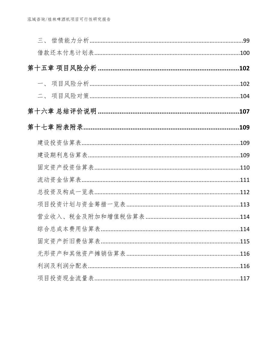 桂林啤酒机项目可行性研究报告_第5页