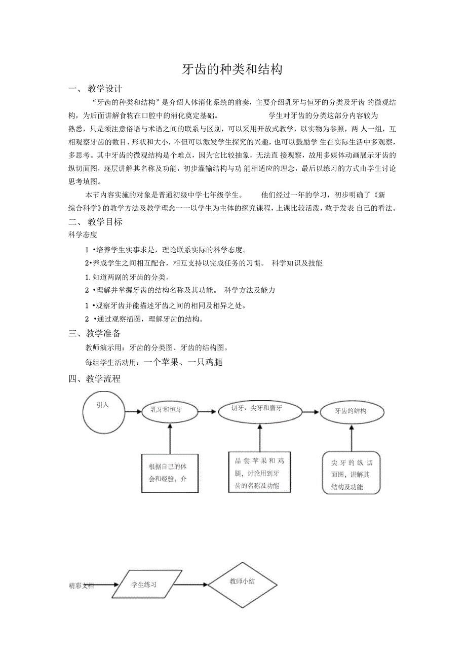 牙齿地种类和结构_第1页