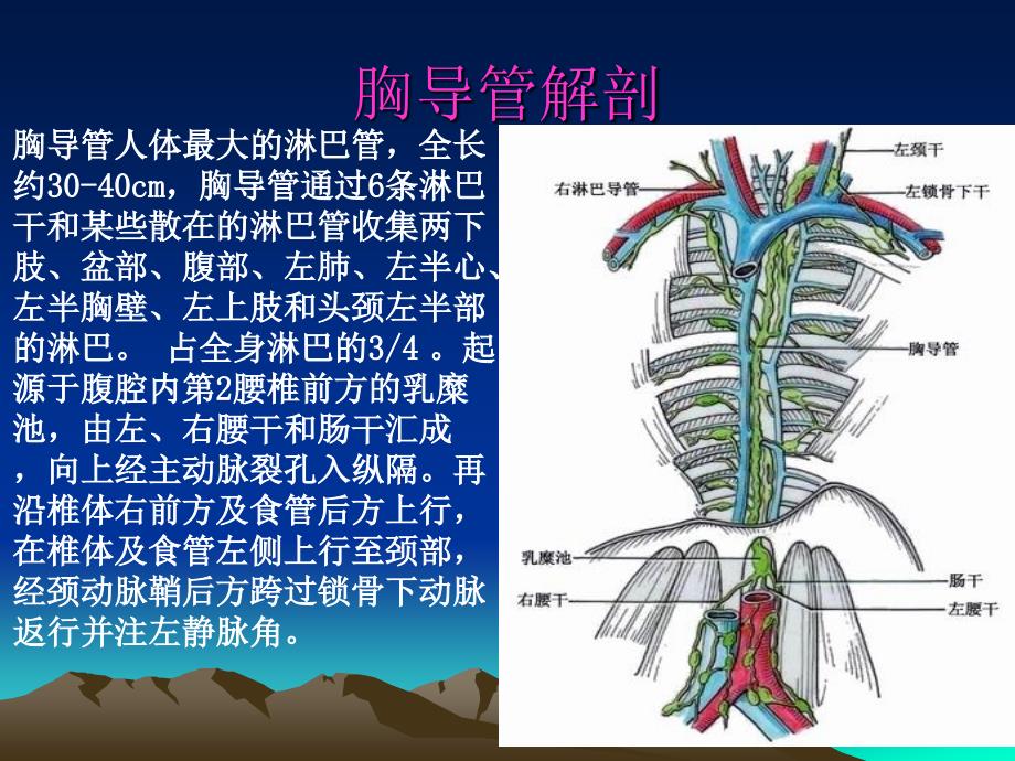 乳糜胸韦方宁ppt课件_第3页