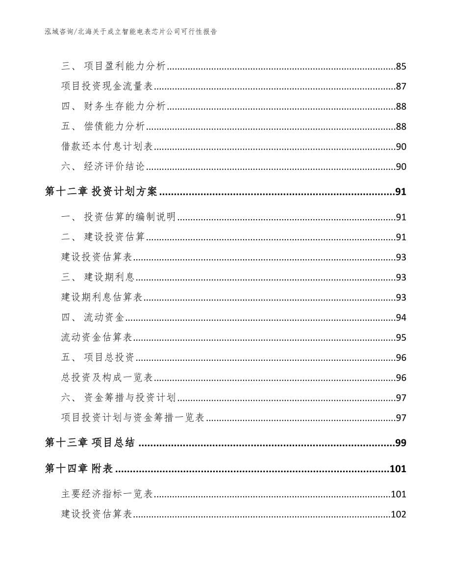 北海关于成立智能电表芯片公司可行性报告_第5页