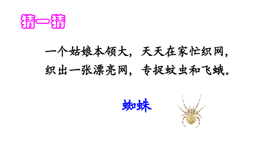 语文一年级下册蜘蛛织网课件_第1页