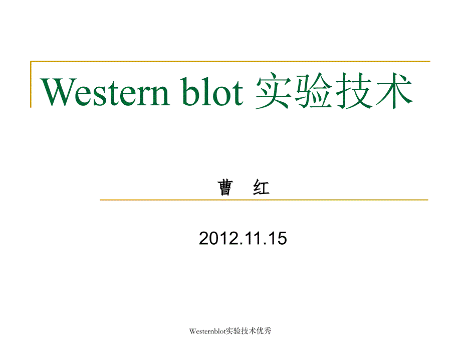 Westernblot实验技术课件_第1页